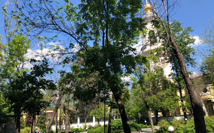    Фото: Ксения Фурдман Ксения Фурдман