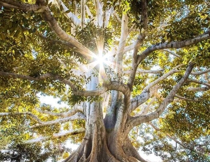 Твоя жизнь- это твоя карма