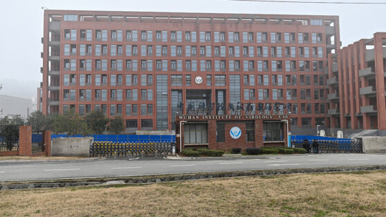    США прекращают финансирование Уханьского института вирусологии Дмитрий Коптев