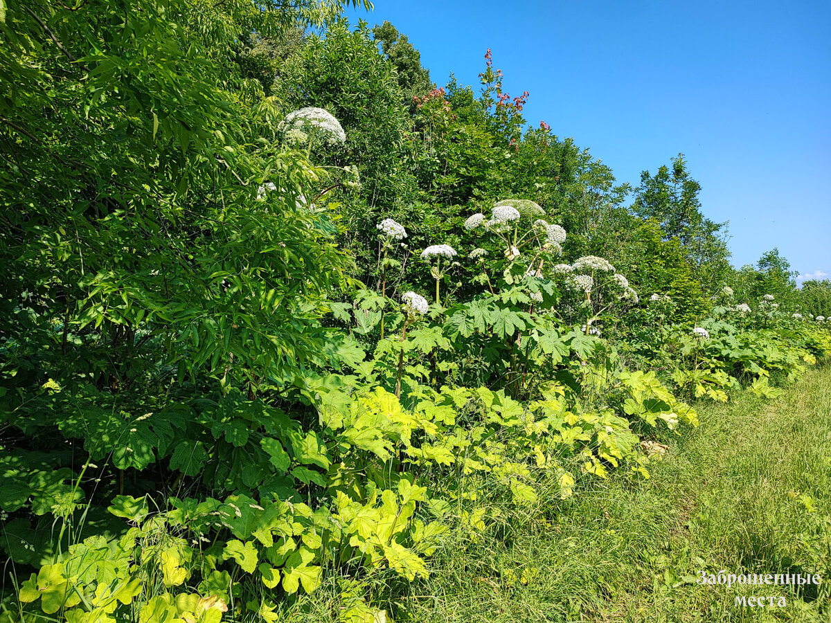 Деревня Юрьево, Тульской области. Фото автора. 2023г