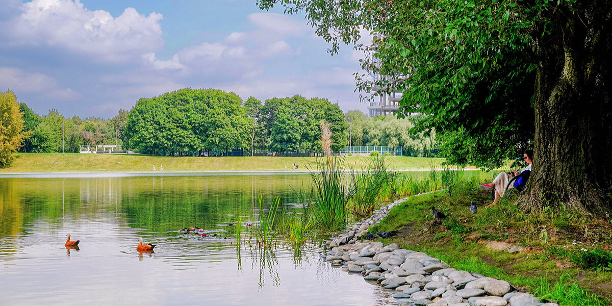 Фото: пресс-служба комплекса городского хозяйства города Москвы