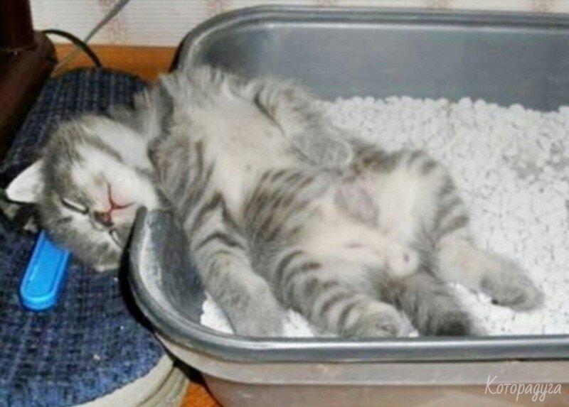 Источник: pinterest.com