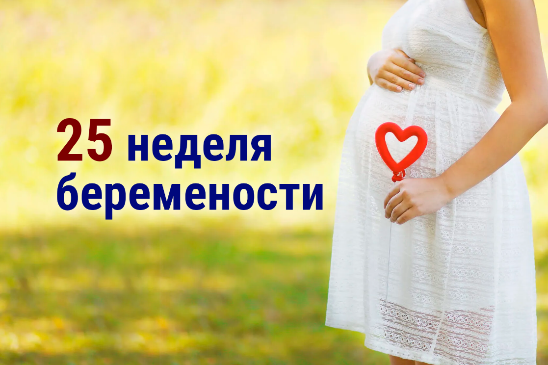 ✓ 25 неделя беремености ✔️ | 👶🏻KROHIPRO👶 - Беременность, питание,  подготовка к родам, воспитание детей - Всё о детях и их родителях🤱🏻 | Дзен