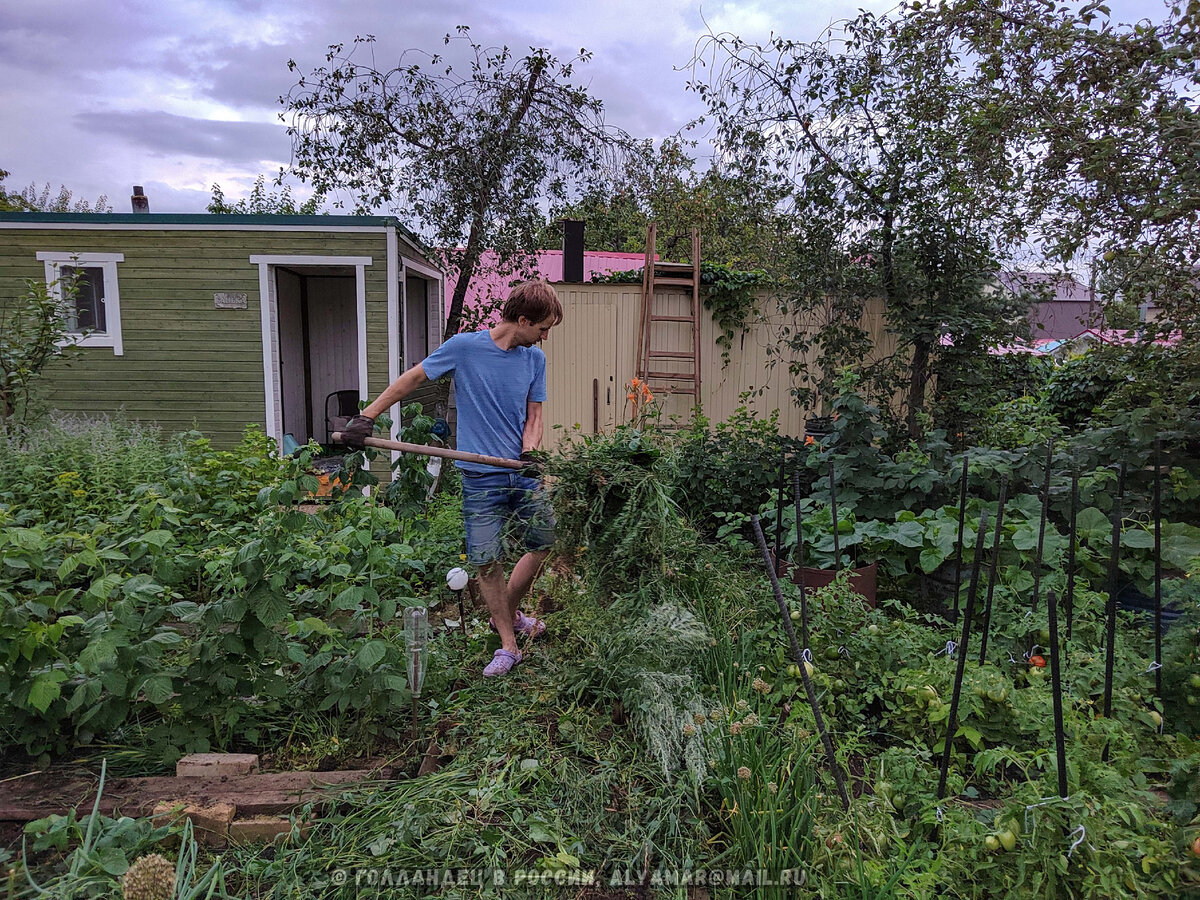 Когда список Тёщи будет закончен, покажу ДО и ПОСЛЕ :)
