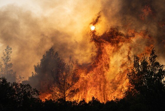    Лесной пожар сжигает деревья в Агиа-Сотире, западном пригороде Афин, Греция