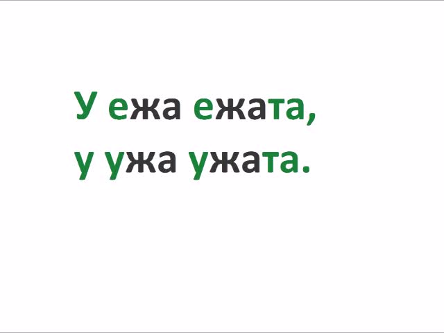 У ежа ежата у ужа ужата. У ежа ежата у ужа ужата картинки. Загадки про ежей. Скороговорка про ежика. Загадка про ежика.
