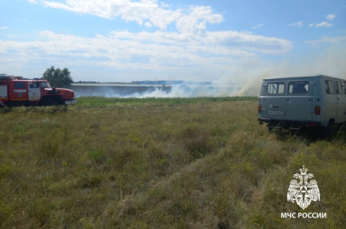    Туристы в Алтайском крае устроили пожар в поле у палаточного лагеря