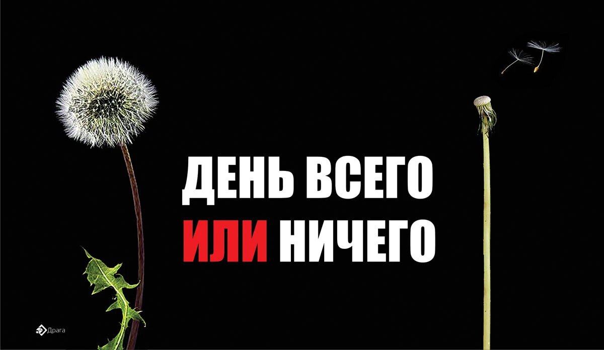 День всего или ничего. Иллюстрация: «Весь Искитим»