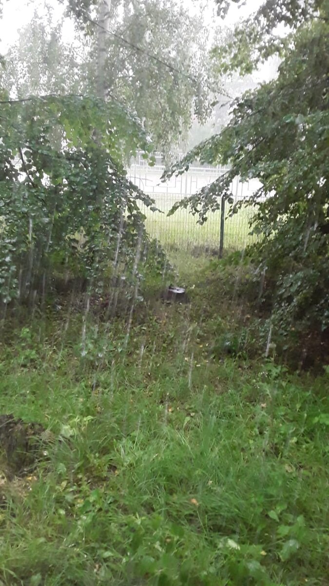 Льёт , как из ведра!😁