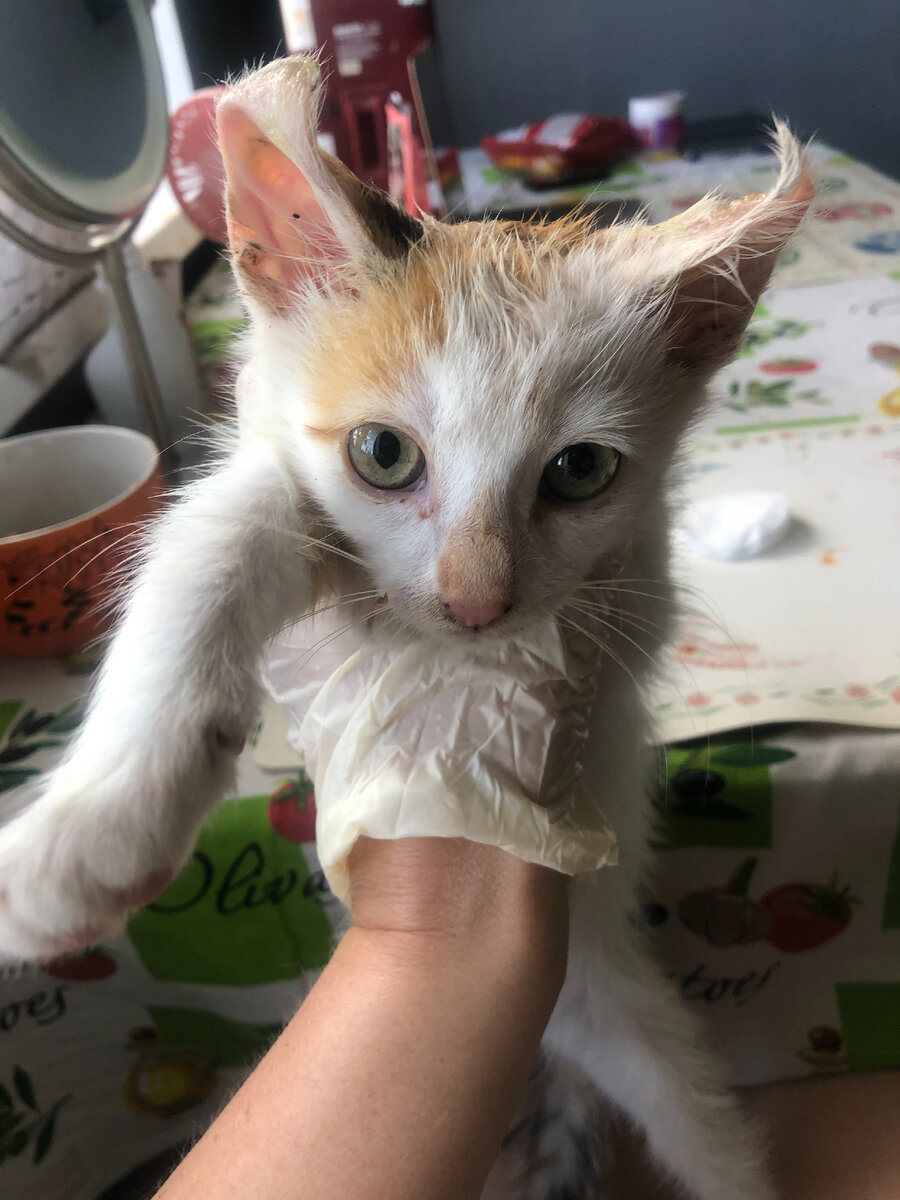 Миечка до сих пор грязнуля