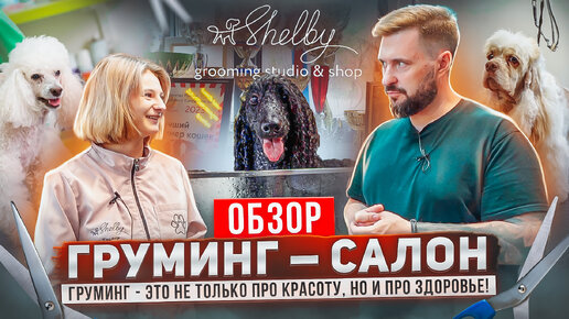 SPA для собак, именитые грумеры и премиальная косметика... | Груминг салон SHELBY г. Москва