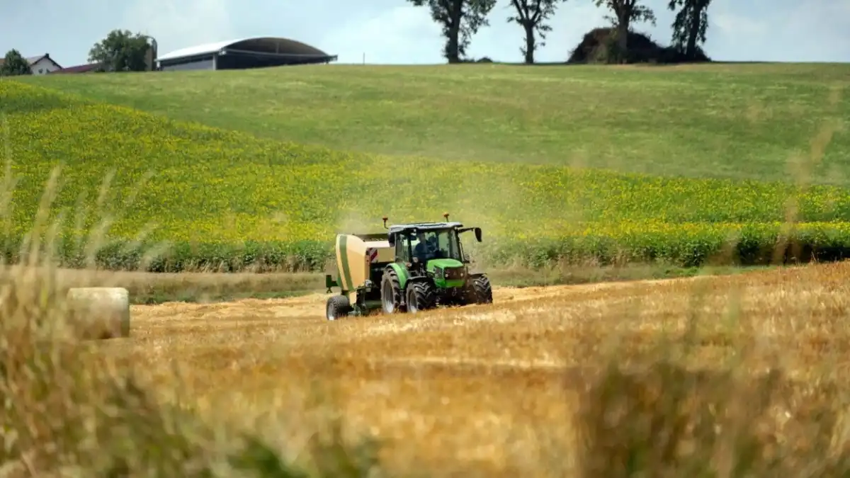 Фото: Deutz-Fahr
Трактор Deutz-Fahr 5D Keyline в поле