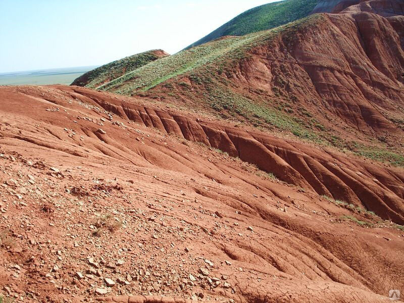    Строительные материалы.    Среди полезных ископаемых в Кировской области встречаются: глины, пески, гравий, гипсы и другие.     Глины бывают разных цветов : красные, серые, бурые, жёлтые.-2