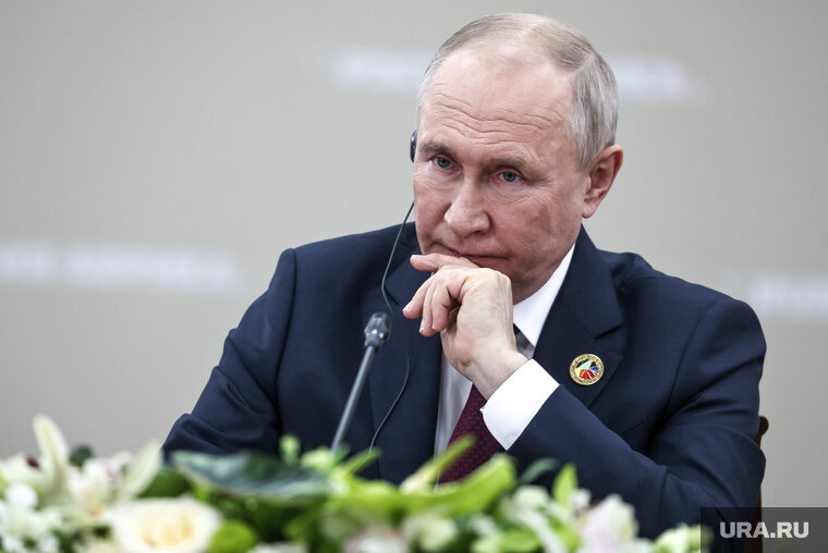    Путин высказал уважение африканским мирным инициативам