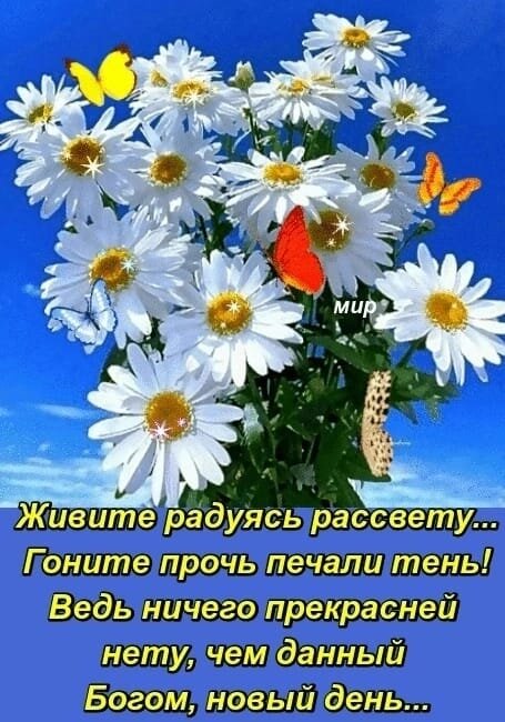 Доброе утро! Фото из Интернета. 