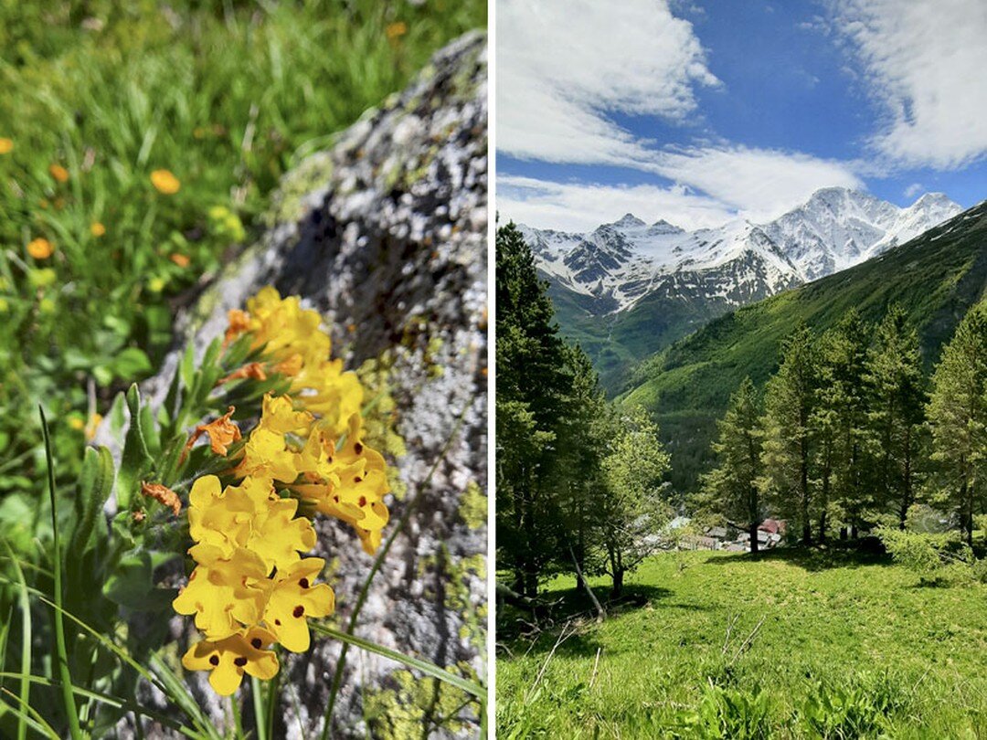 Треккинг в Приэльбрусье