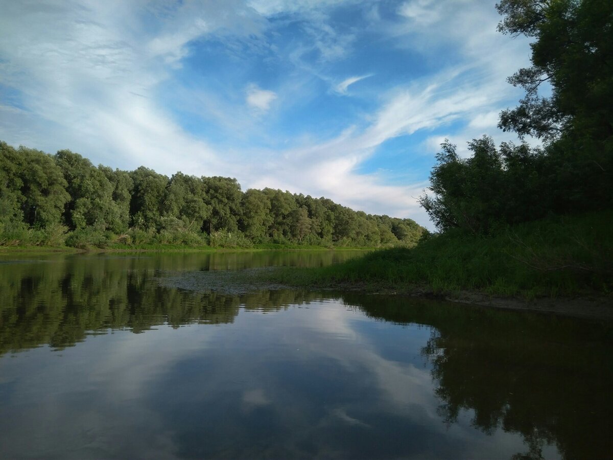 Наше любимое место рыбалки на Оби