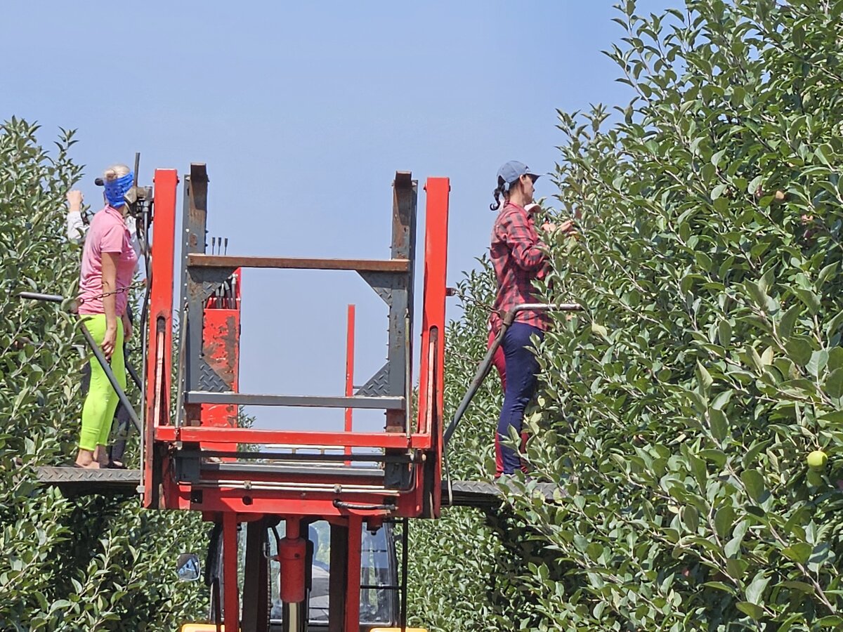 Фото: Александр Сучков, "Краснодарские известия"
