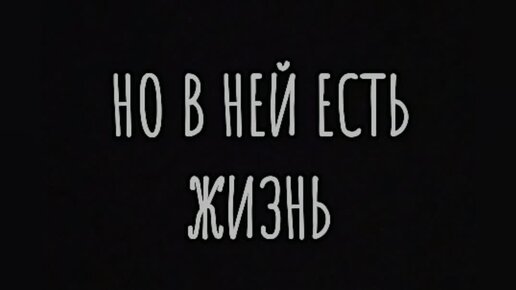 Деревенские будни | Жизнь и смерть в одной реке🤔💦😔 | Дзен