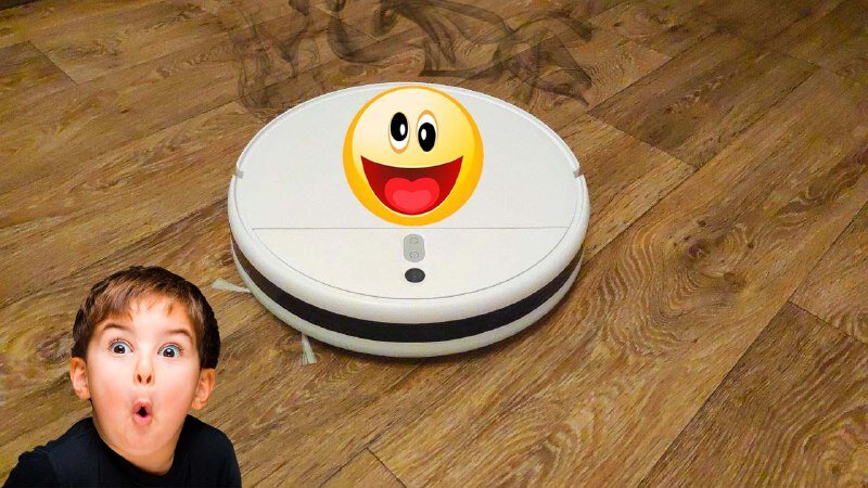 Мой новый друг и помощник, уже хулиганит.