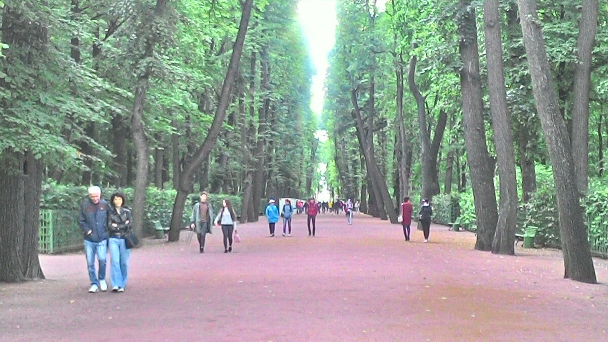 Центральная аллея. Фото из личного архива 