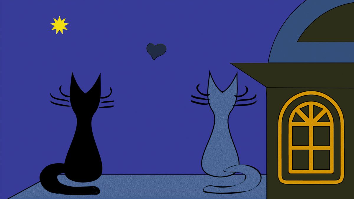 Все любят котиков