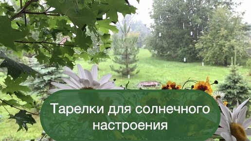 Тарелки для солнечного настроения