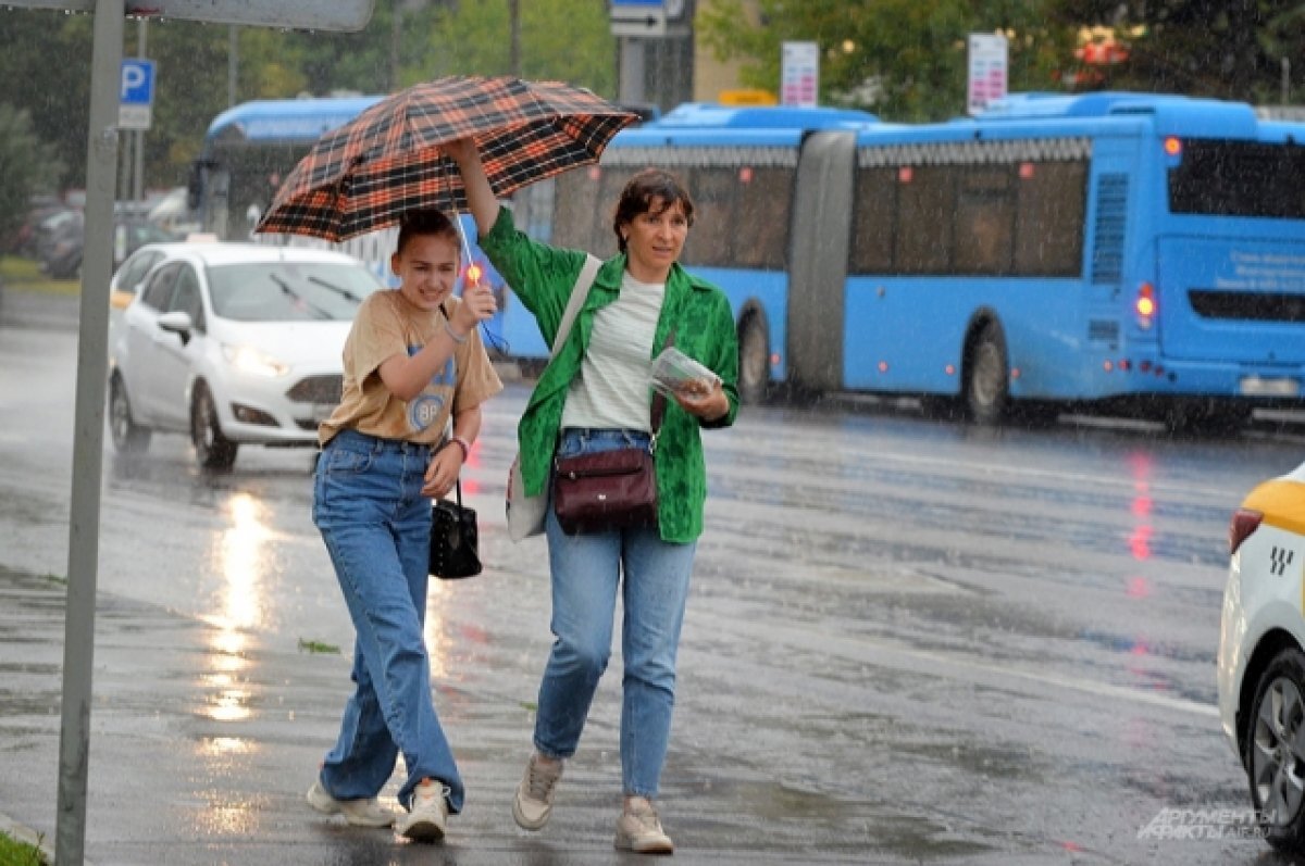    В Новосибирске ожидается похолодание до +19 градусов и дождь 12 августа