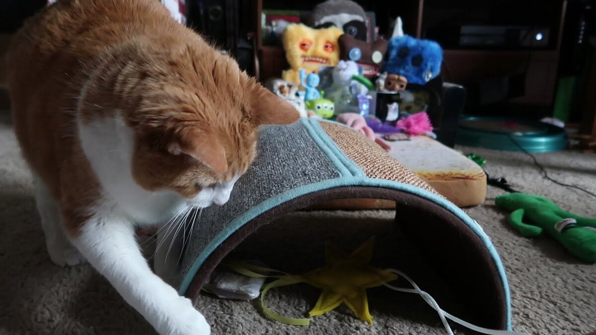 Фото из Интернета.