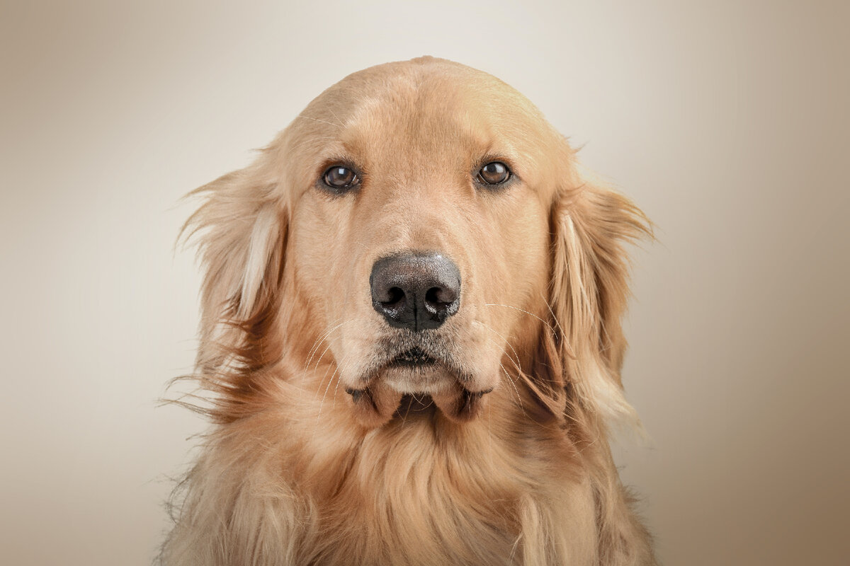Картинка с бесплатного фотостока https://unsplash.com, автор Faber Leonardo