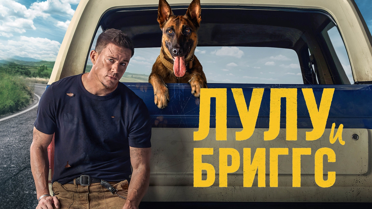 Изображение сервиса я.картинки.