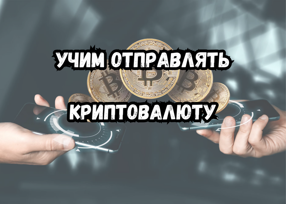 Как надежно сохранить криптовалюту: основные советы и лучшие способы