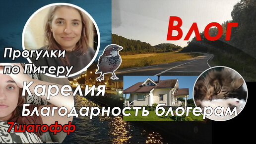 Несколько дней со мной | Влог | Музыка Nadine Ilina | Остров Койонсаари | Питер | Отстаиваю свои права