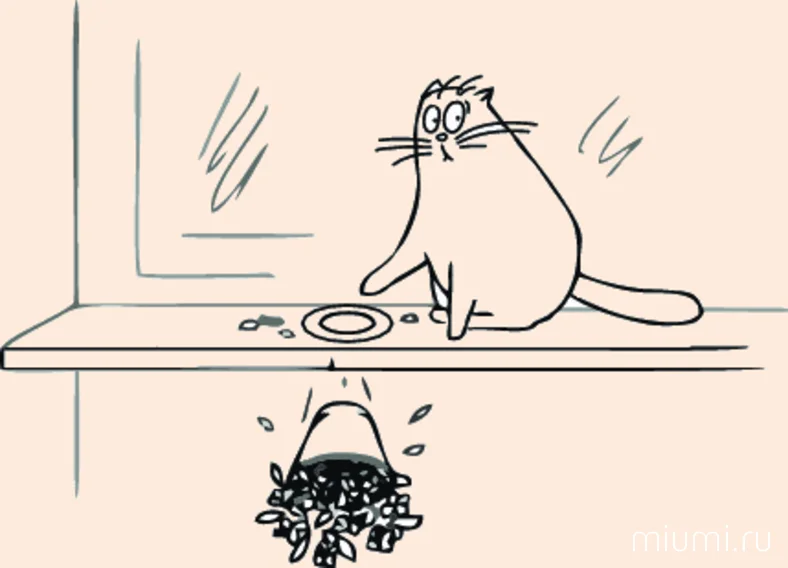 Разбитый кот. Кот роняет вазу. Кот разбил вазу. Кошка скидывает предметы со стола. Кошка роняет со стола.