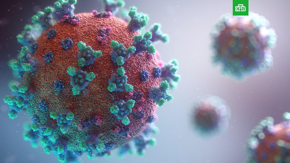    Фото: Fusion Medical Animation / unsplash.com