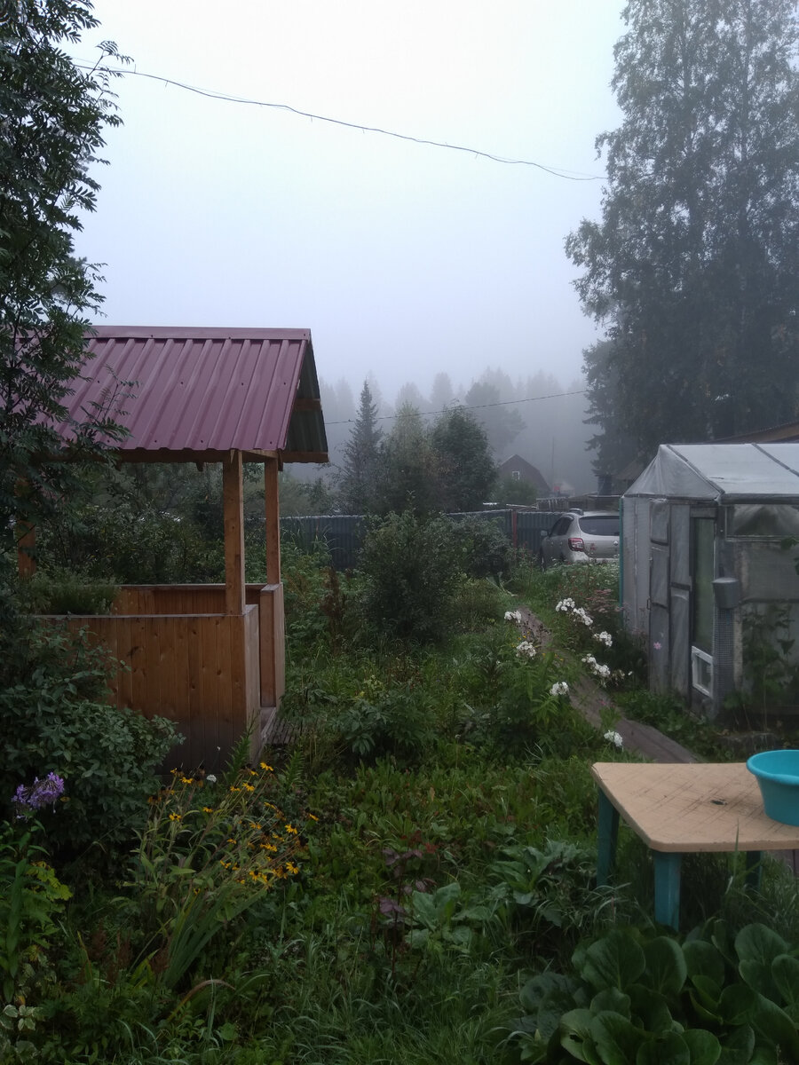 Фото автора. На участке есть парковка, летом можно мыться аккуратненько)