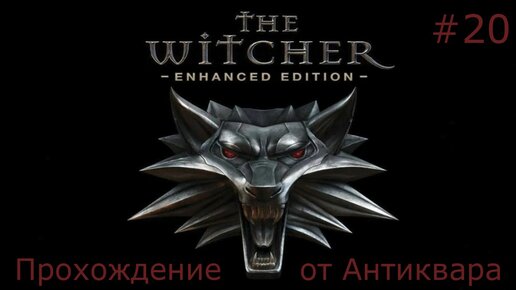 The Witcher - Ведьмак. Прохождение легендарной игры. Серия №20