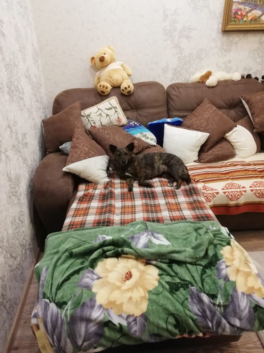 Первое утро дома 