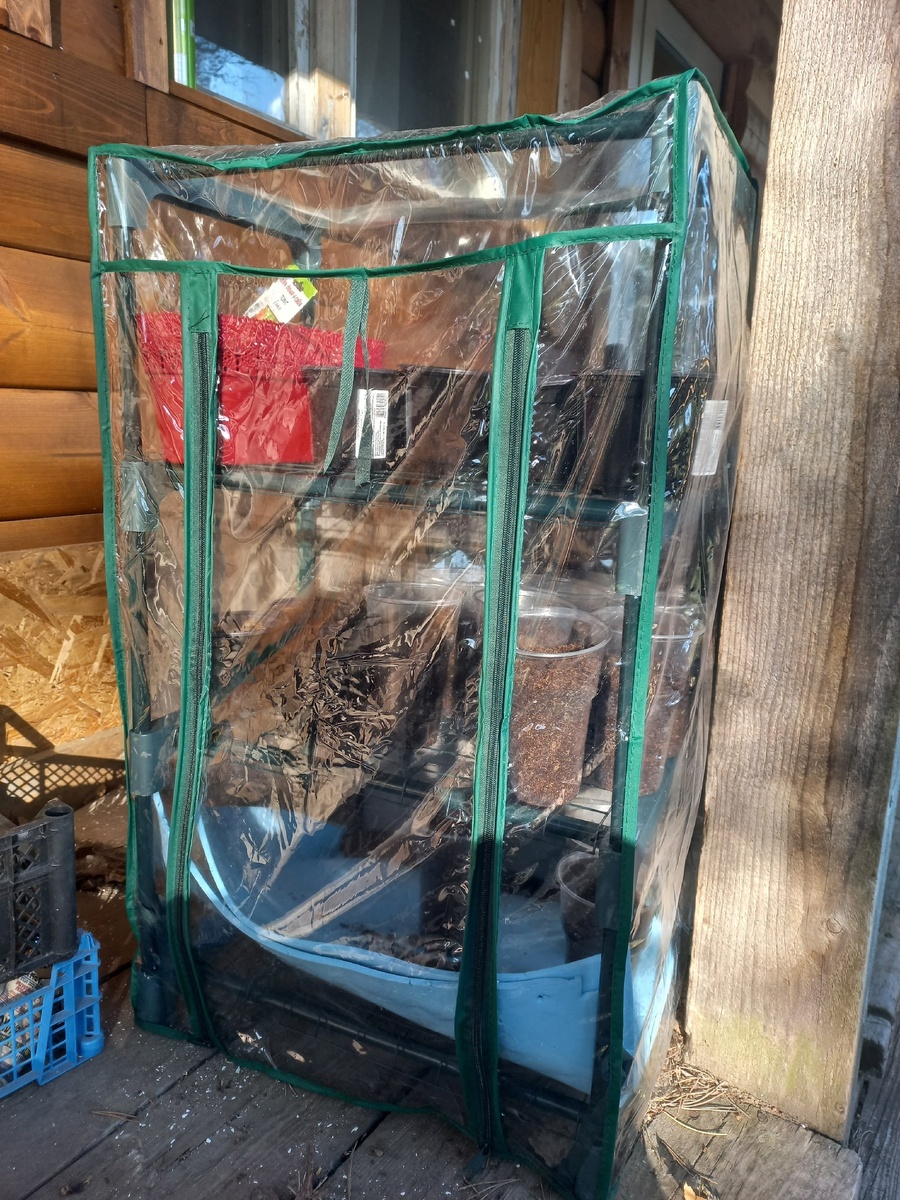 Вот такой парник.