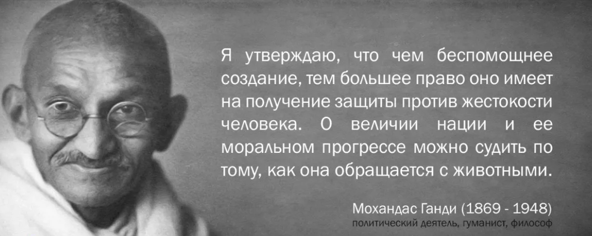 Высказывания Махатмы Ганди о животных. Ганди величие нации. Махатма Ганди цитаты о животных. Махатма Ганди о животных.
