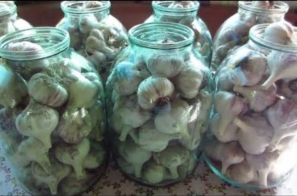 При любом способе хранения чеснока, он должен быть тщательно высушен и помещён в прохладное место