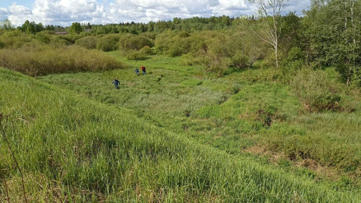 telegram.org / ЛизаАлерт Питер