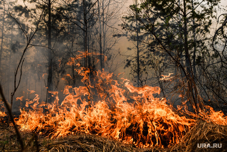    Человек оказался виноват в возникновении одного из 13 пожаров