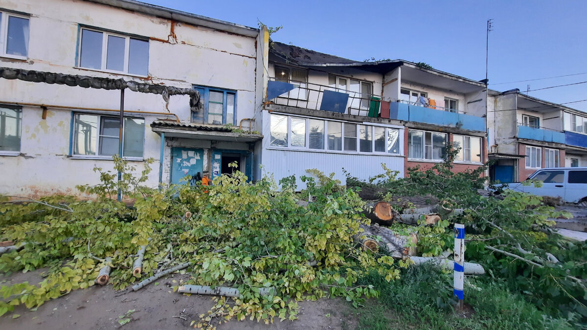 Сегодня ни деревья не убрали, ни плиту не сняли...