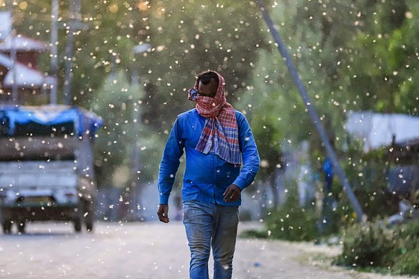 Фото: Nasir Kachroo / NurPhoto / Getty Images