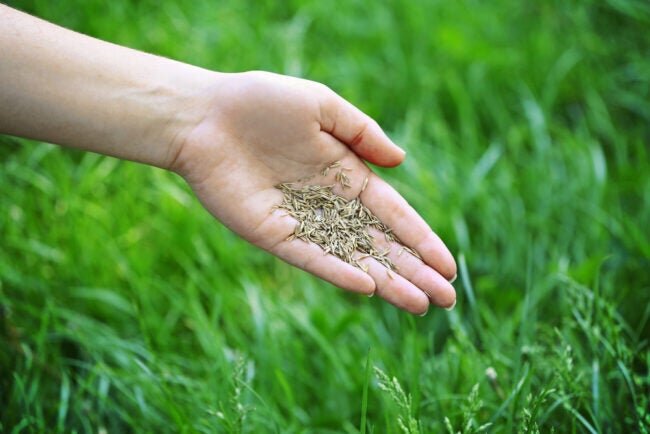 Photo: depositphotos.com