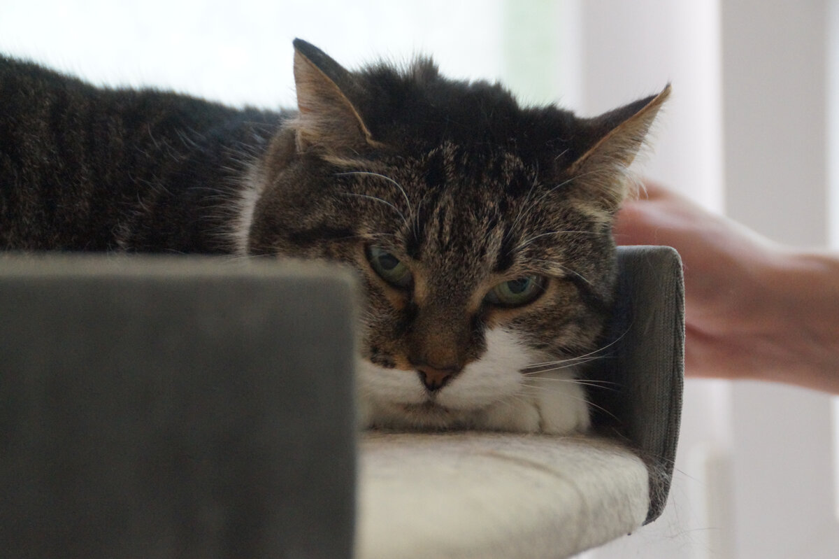 Синса не ожидала такого подвоха от судьбы