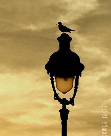 Фонарь перед Домом инвалидов в Париже (середина XVIII в.). Сохранён внешний вид, начинка электрическая. Насколько я знаю, на улице тех фонарей уже нет, остался только газовый.