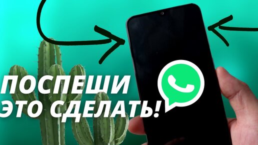 КАК ПРОКАЧАТЬ СВОЙ WhatsApp за считанные минуты! Кастомизация WhatsApp для продвинутых