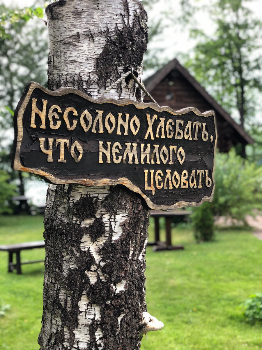 А эта народная мудрость пусть станет для вас метафорическим посланием на новую неделю. Фото мое — из вчера